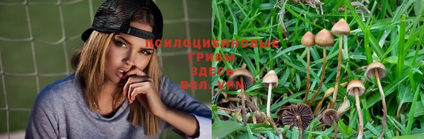 гашик Верхний Тагил